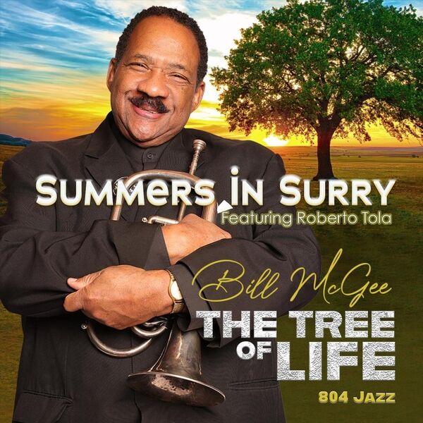 Cover art for Summers in Surry